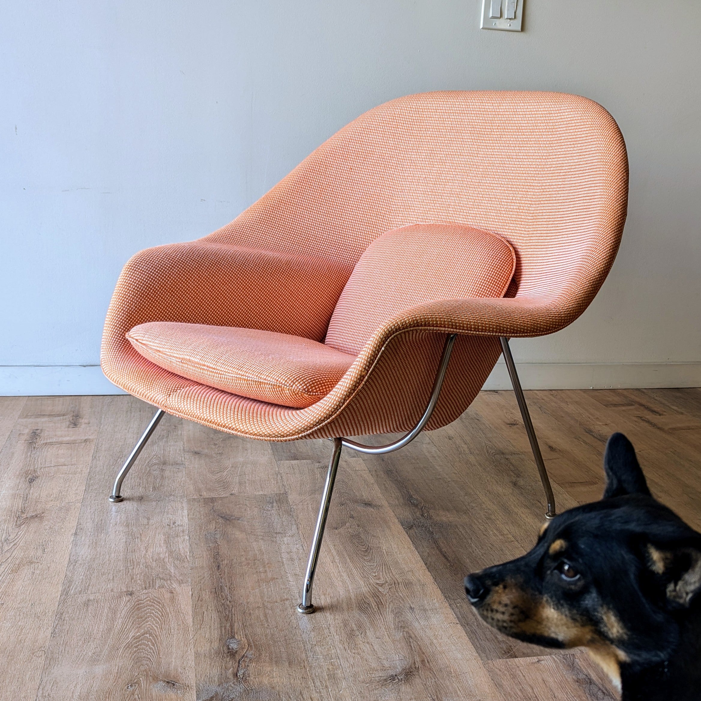 Eero Saarinen Womb Chair