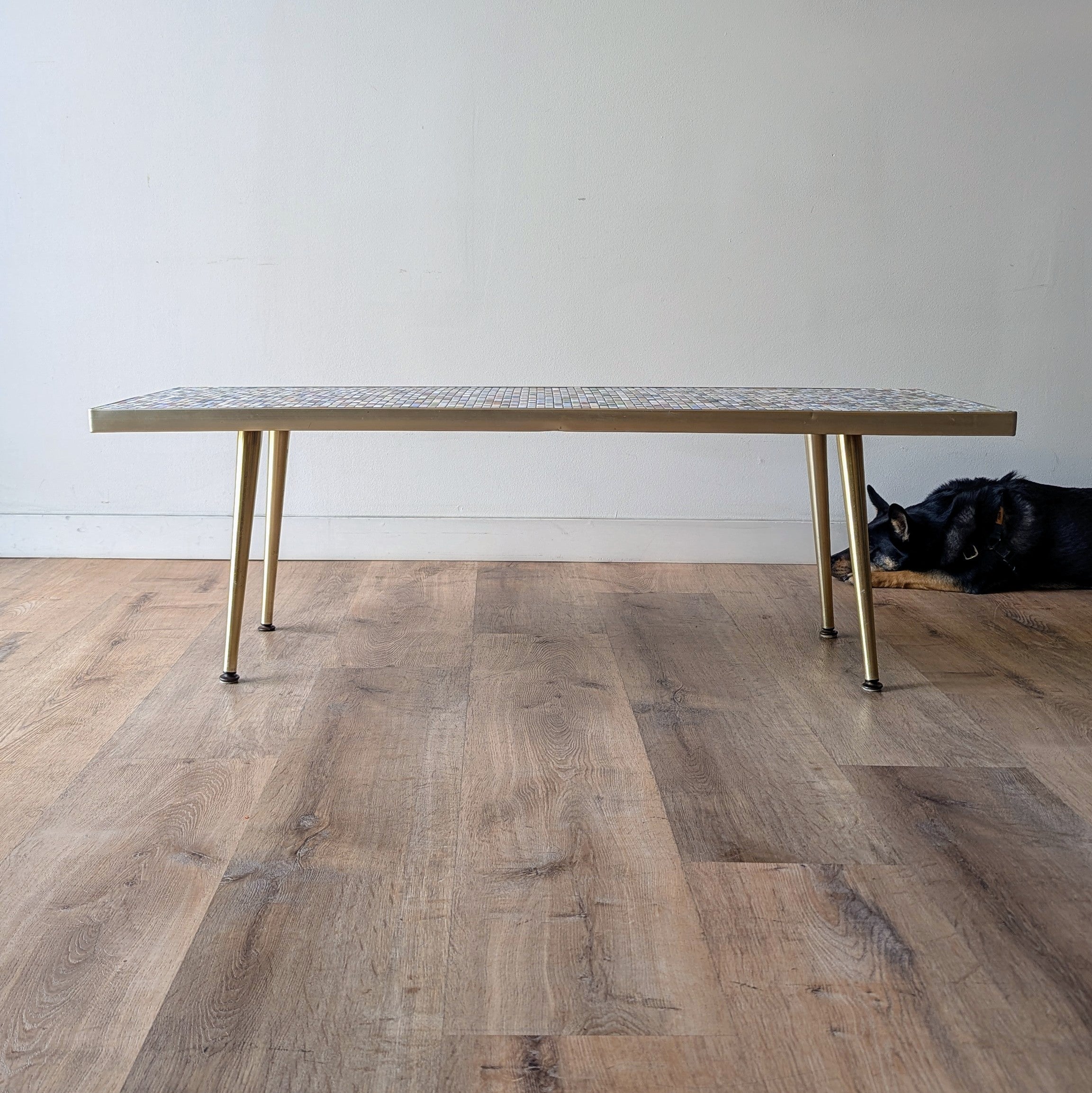 MCM Coffee Table