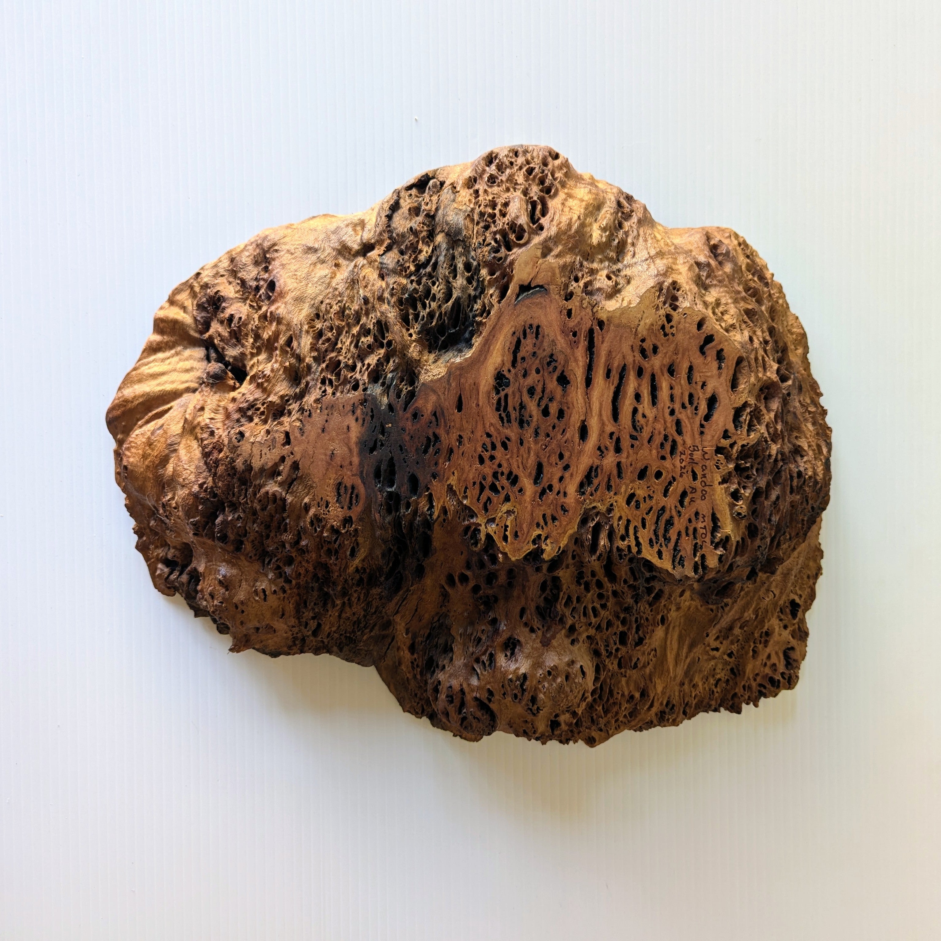 Mike O'Connor Wandoo Burl Bowl
