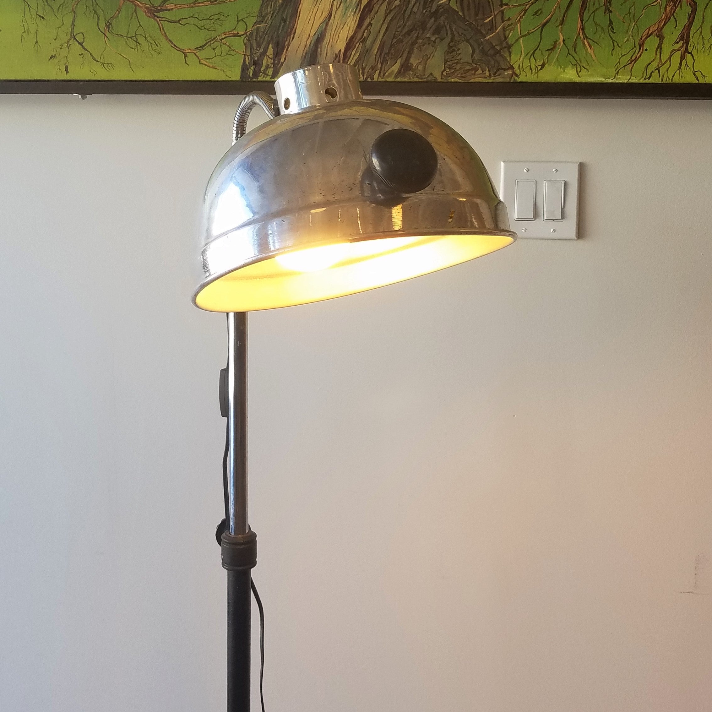 M. Brandt & Sons Floor Lamp