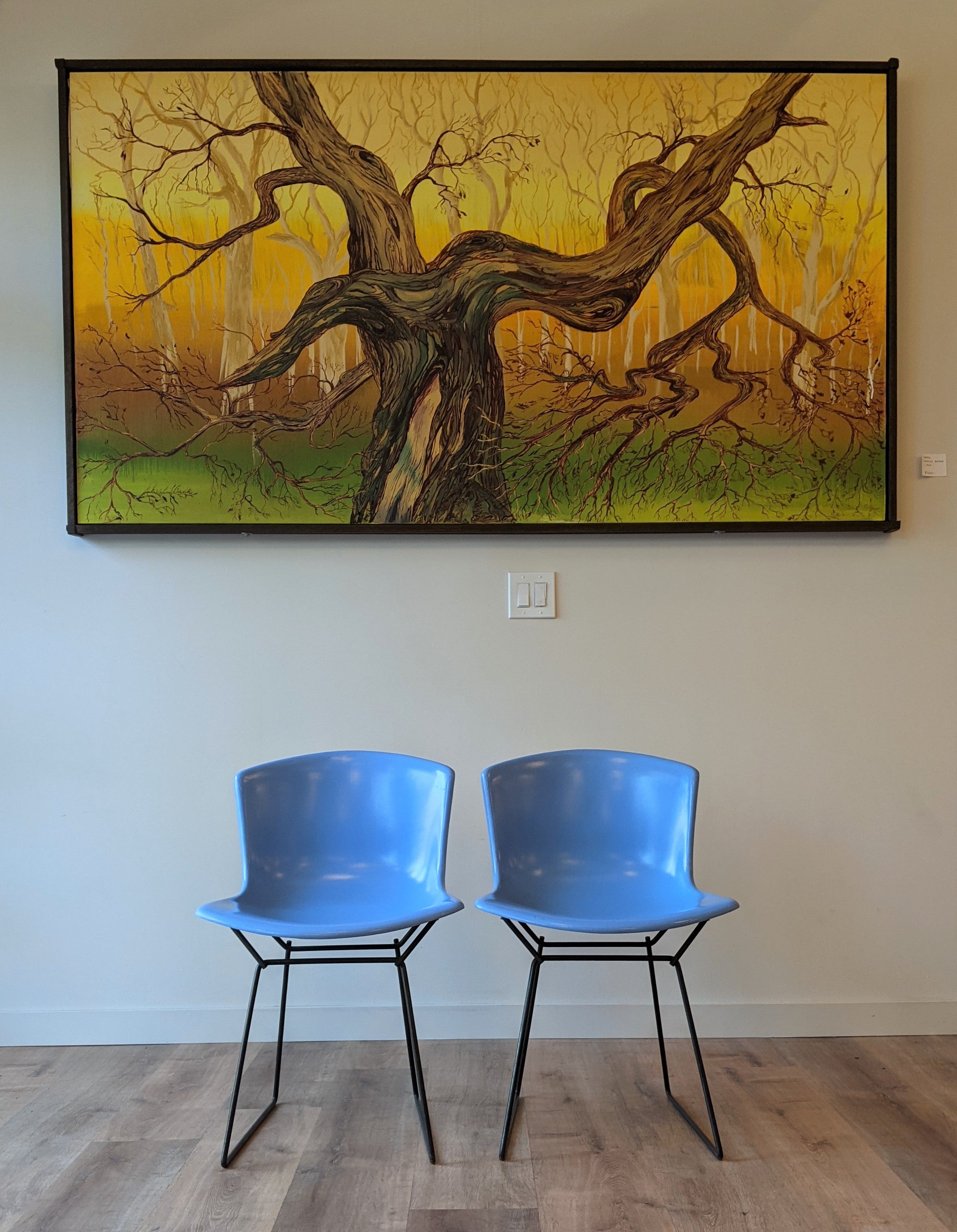 Harry Bertoia Molded Plastic Shell Chairs
