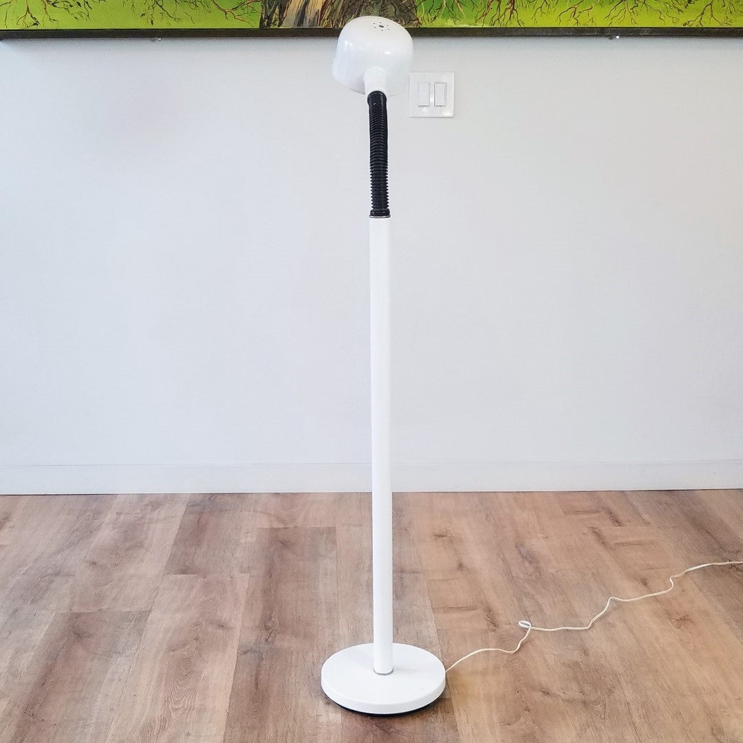 Lightolier Gooseneck Floor Lamp