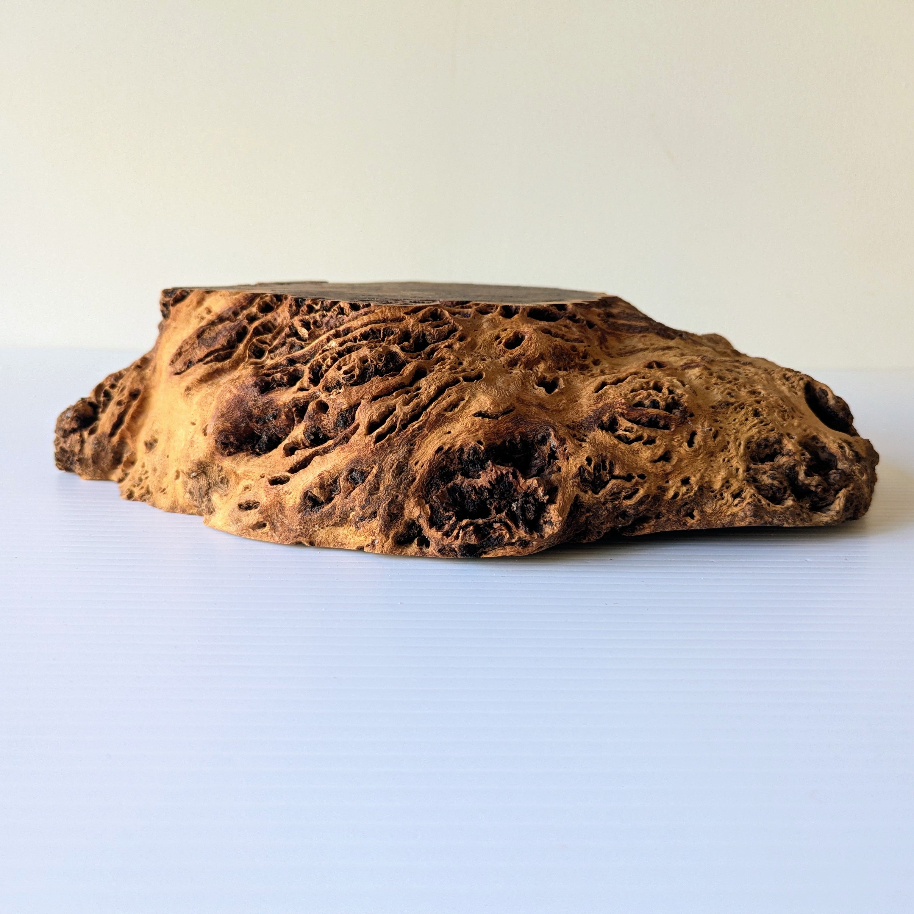 Mike O'Connor Gummy Brown Malle Bowl